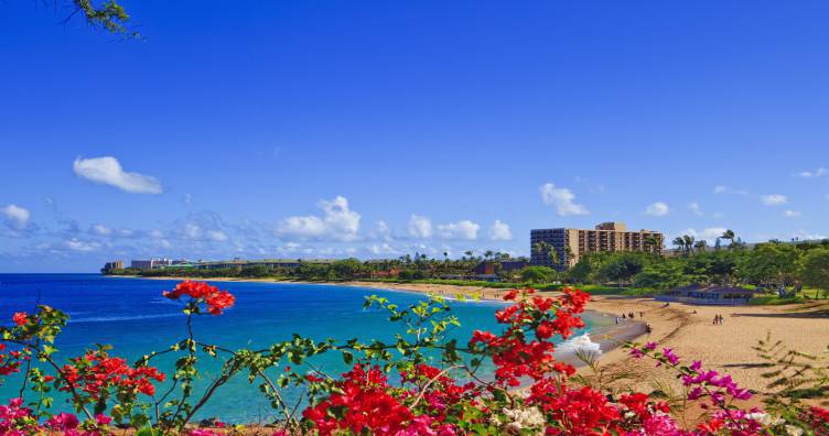 Beach Hotels Maui
